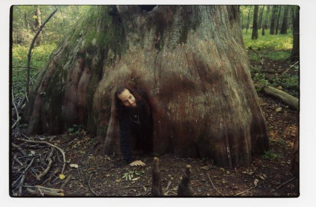 Mama Cypress 1: Here I am crawling out of the hollow base of a cypress tree in the Cache River State Natural Area. I call this tree Mama Cypress, even though the brochure called it the Pooh Tree or something similar after Winnie the Pooh's home.