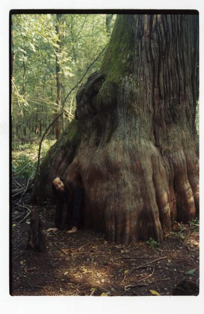 Mama Cypress 2: Here I am crawling out of the hollow base of a cypress tree in the Cache River State Natural Area. I call this tree Mama Cypress, even though the brochure called it the Pooh Tree or something similar after Winnie the Pooh's home.