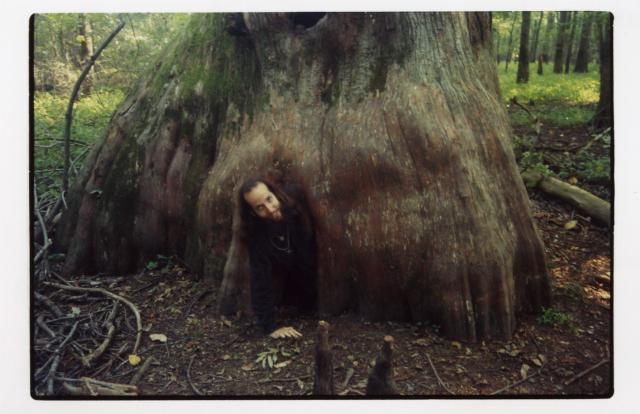 Mama Cypress 3: Here I am crawling out of the hollow base of a cypress tree in the Cache River State Natural Area. I call this tree Mama Cypress, even though the brochure called it the Pooh Tree or something similar after Winnie the Pooh's home. In this photo, I even hav