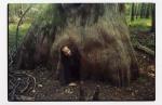 Mama Cypress 3: Here I am crawling out of the hollow base of a cypress tree in the Cache River State Natural Area. I call this tree Mama Cypress, even though the brochure called it the Pooh Tree or something similar after Winnie the Pooh's home. In this photo, I even hav